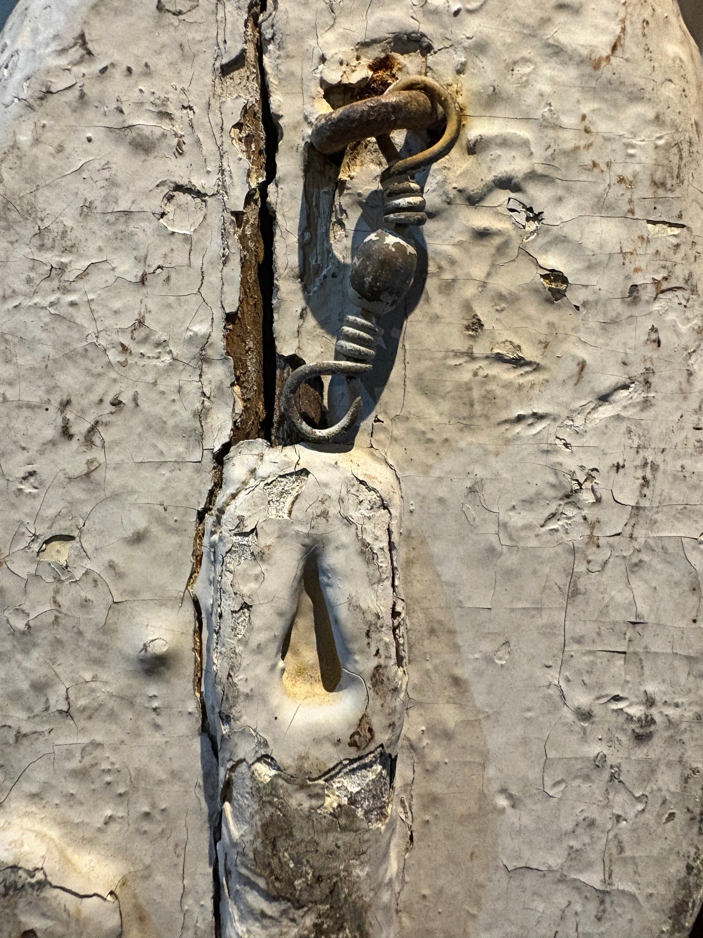 Blue Billed Duck Decoy