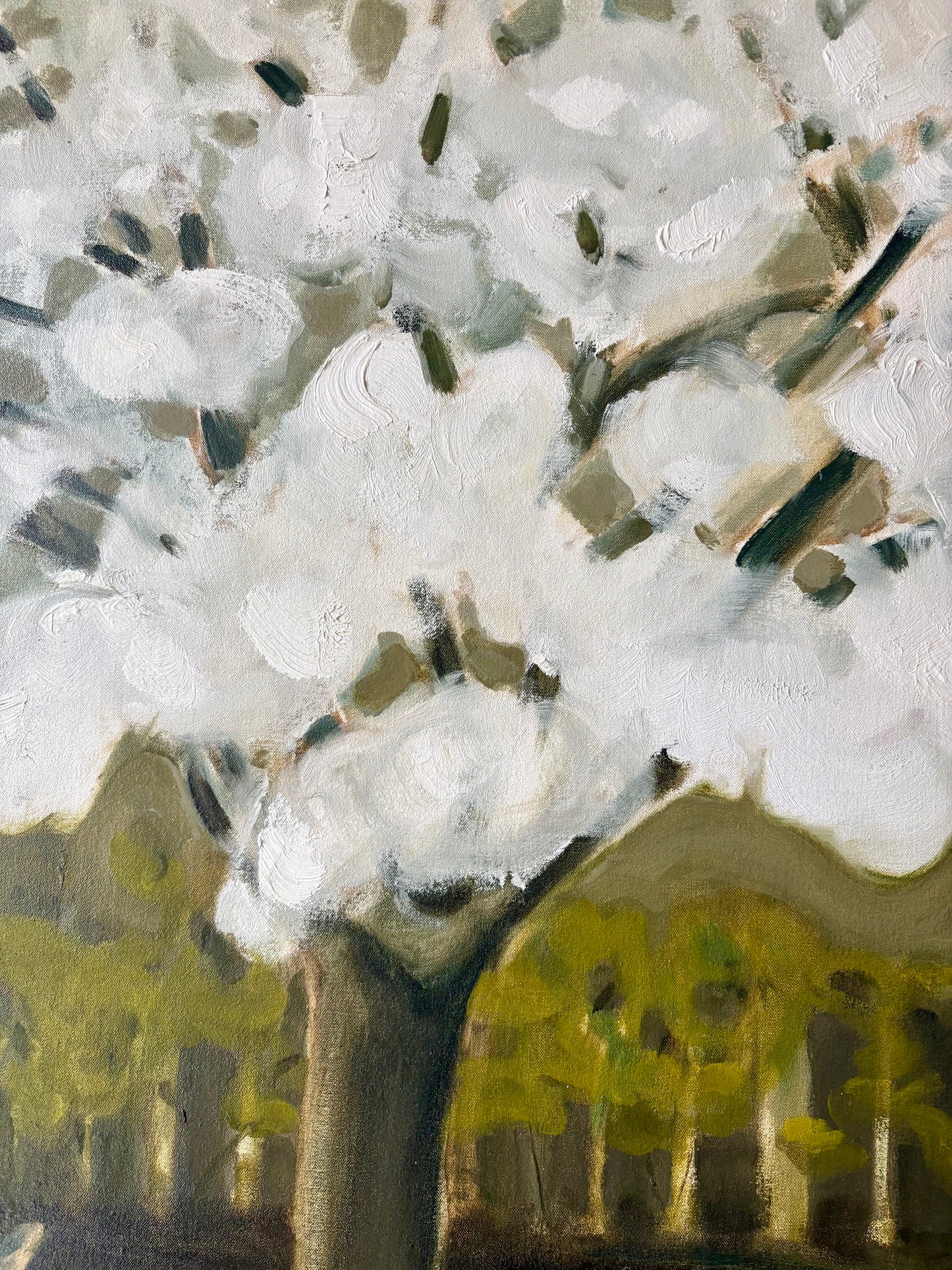 Alexander’s Plum Tree by Isabella Colville
