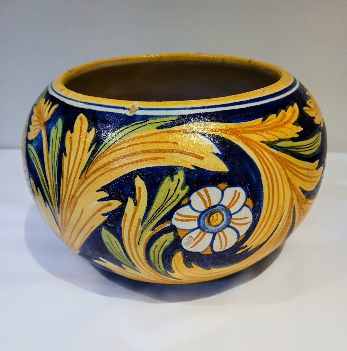 19th Century Italian Majolica Bowl